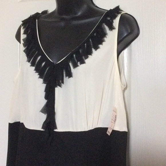 🚨50%off📦Dressbarn Dress nwt - Picture 3 of 5